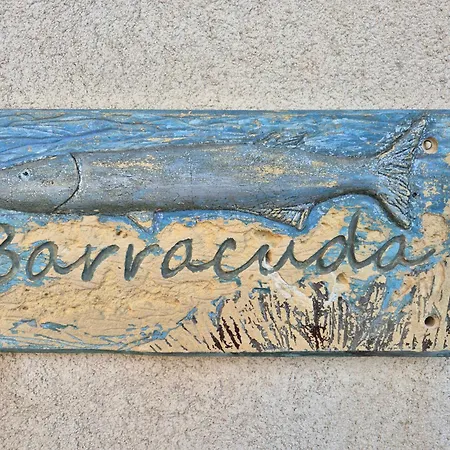 Barracuda Lantställe *